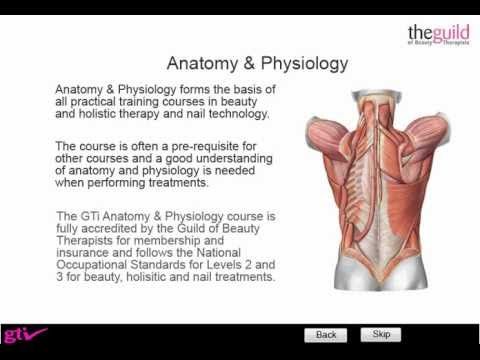 interactive physiology free